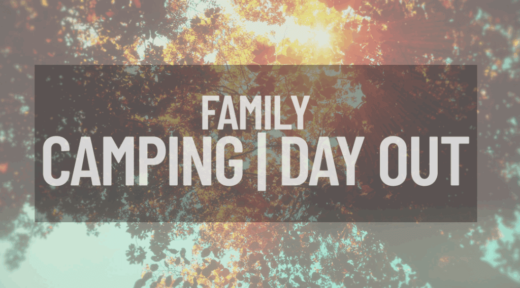 Tree tops with autumn leaves and the sun shining through. Title: Family camping day out.