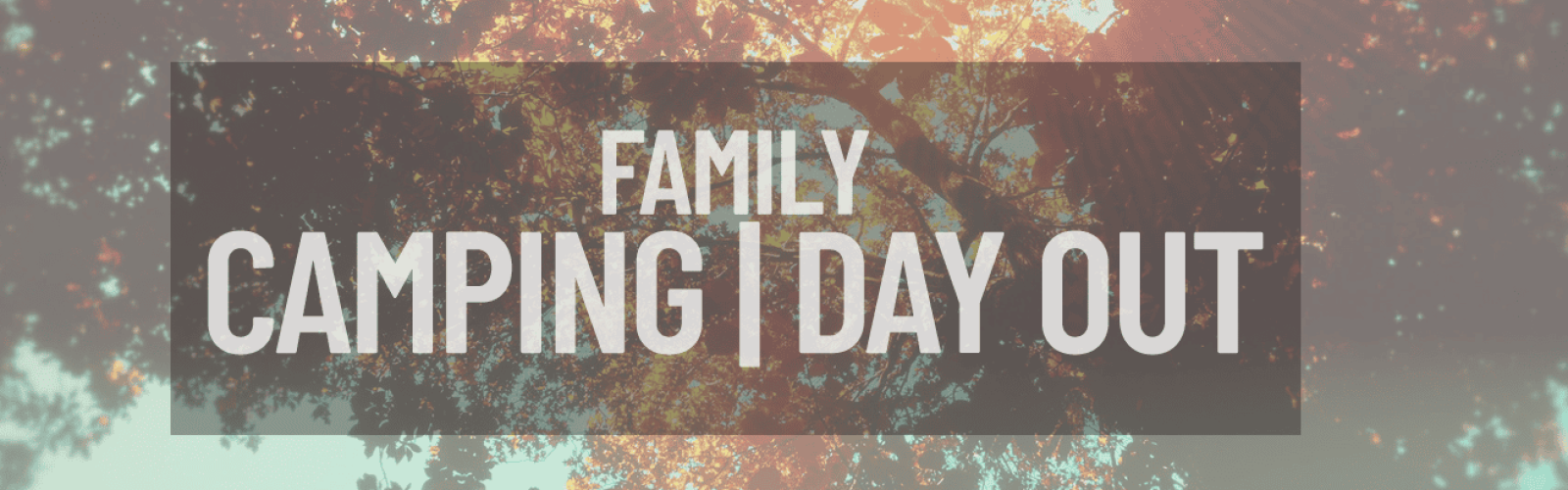 Tree tops with autumn leaves and the sun shining through. Title: Family camping day out.