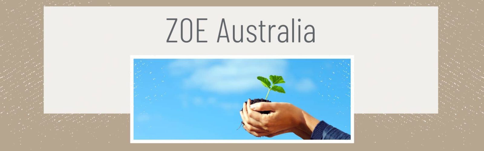 Imge of two hands holding soild with a small seedling growning and blue sky background