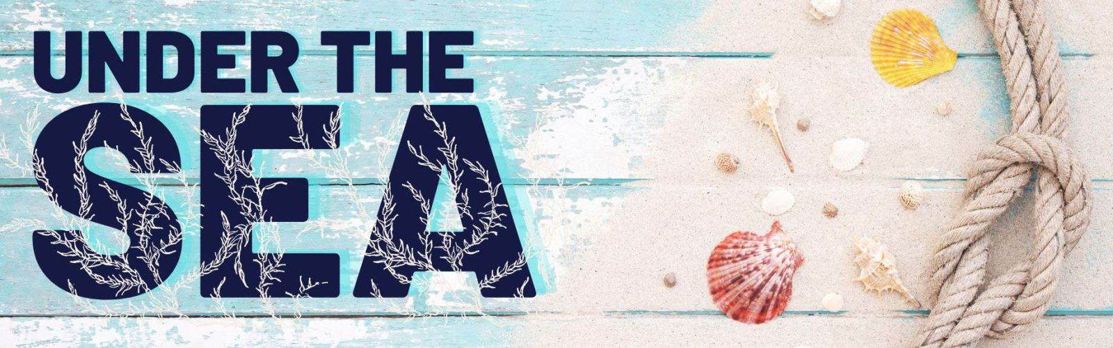 Image of sand, sea shells and rope. Under The Sea.