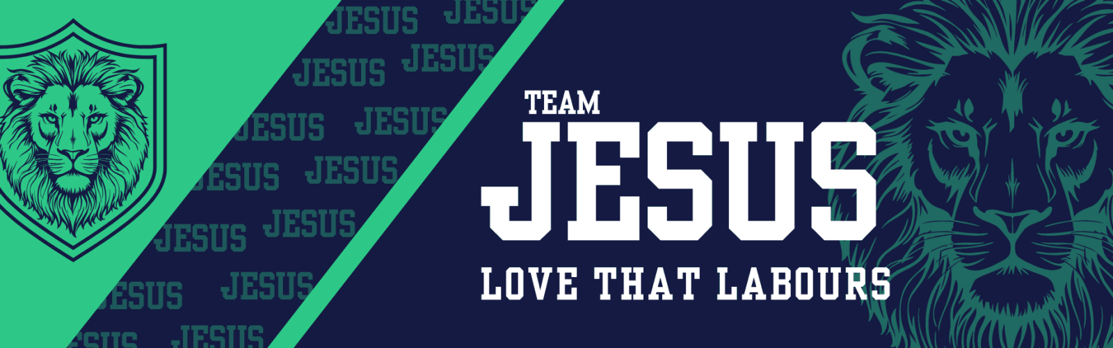 Image of a banner. Line drawing of a lions face close up. Blue background with green top left corner. Title is Team Jesus.