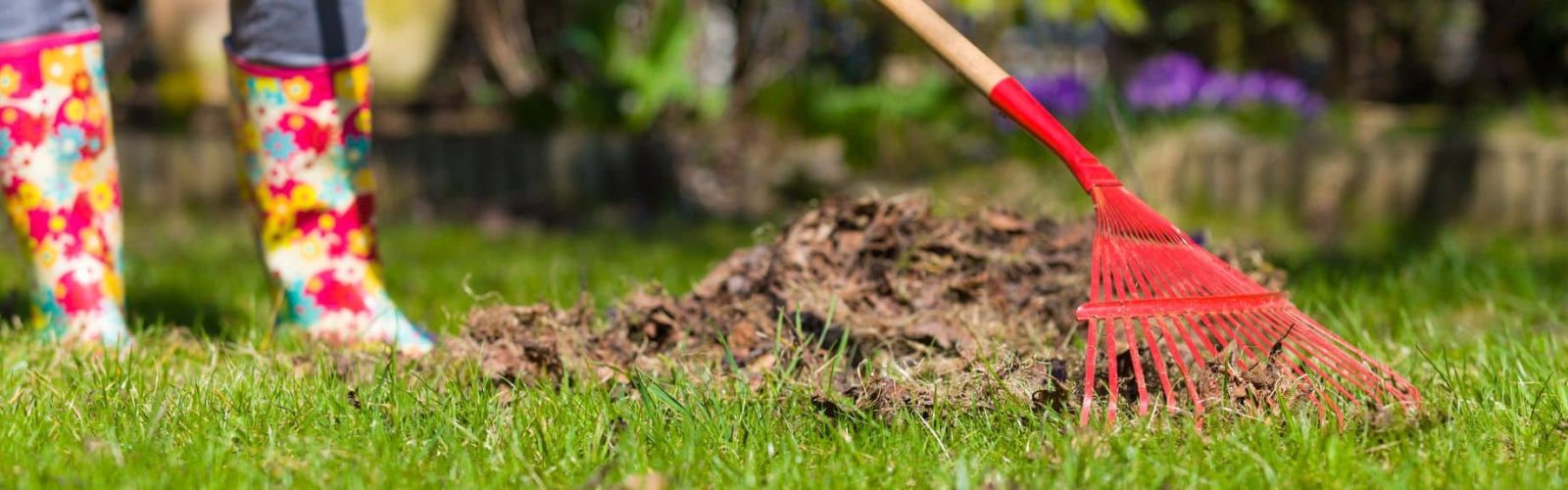 IMage of a pair of gumboots and rake on grass