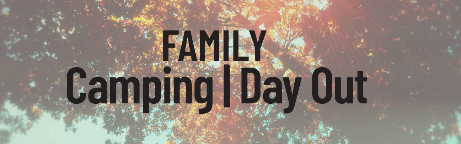 Beautiful trees with autumn leaves and tge sun shining through. Title: Family. Camping. Day out.